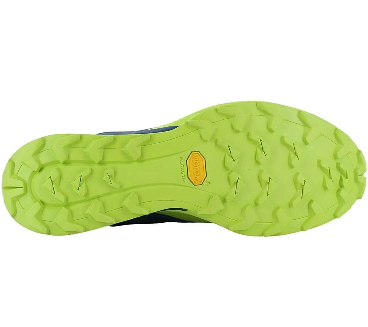 DYNAFIT Alpine - Herren Trail-Running Schuhe Laufschuhe Blau-Grün 64064-8836