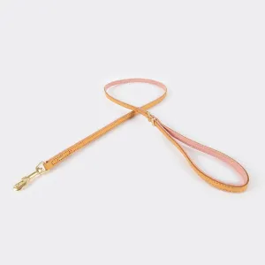 Ezy Dog Leash Oxford 48 LITE Blush