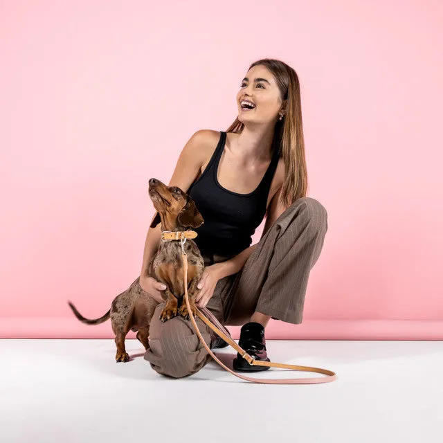 EZYDOG Oxford Leather 48" Lead LITE