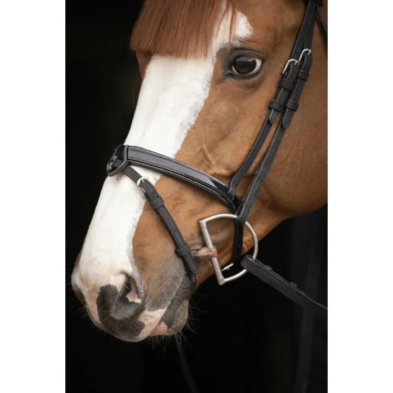 Oxford Performance Bridle