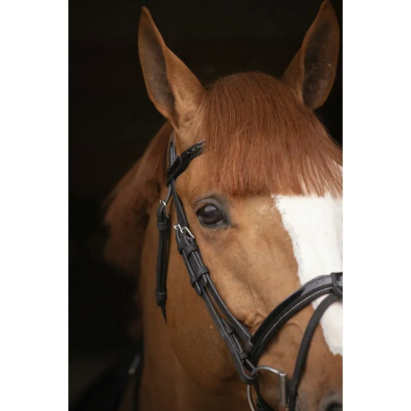 Oxford Performance Bridle