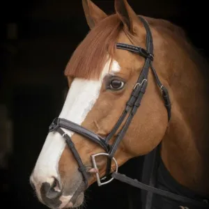 Oxford Performance Bridle